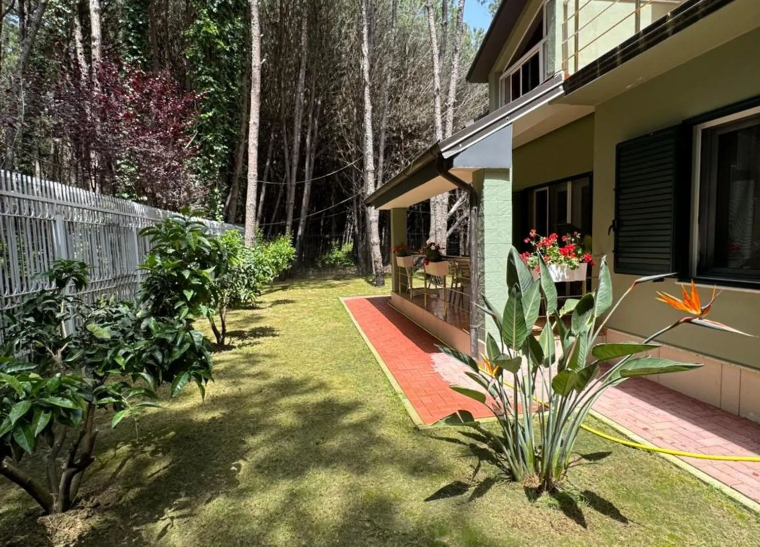 Forest Cottage - Middle Of Forest & Near The Beach Golem  0*, Golem (Tirana)