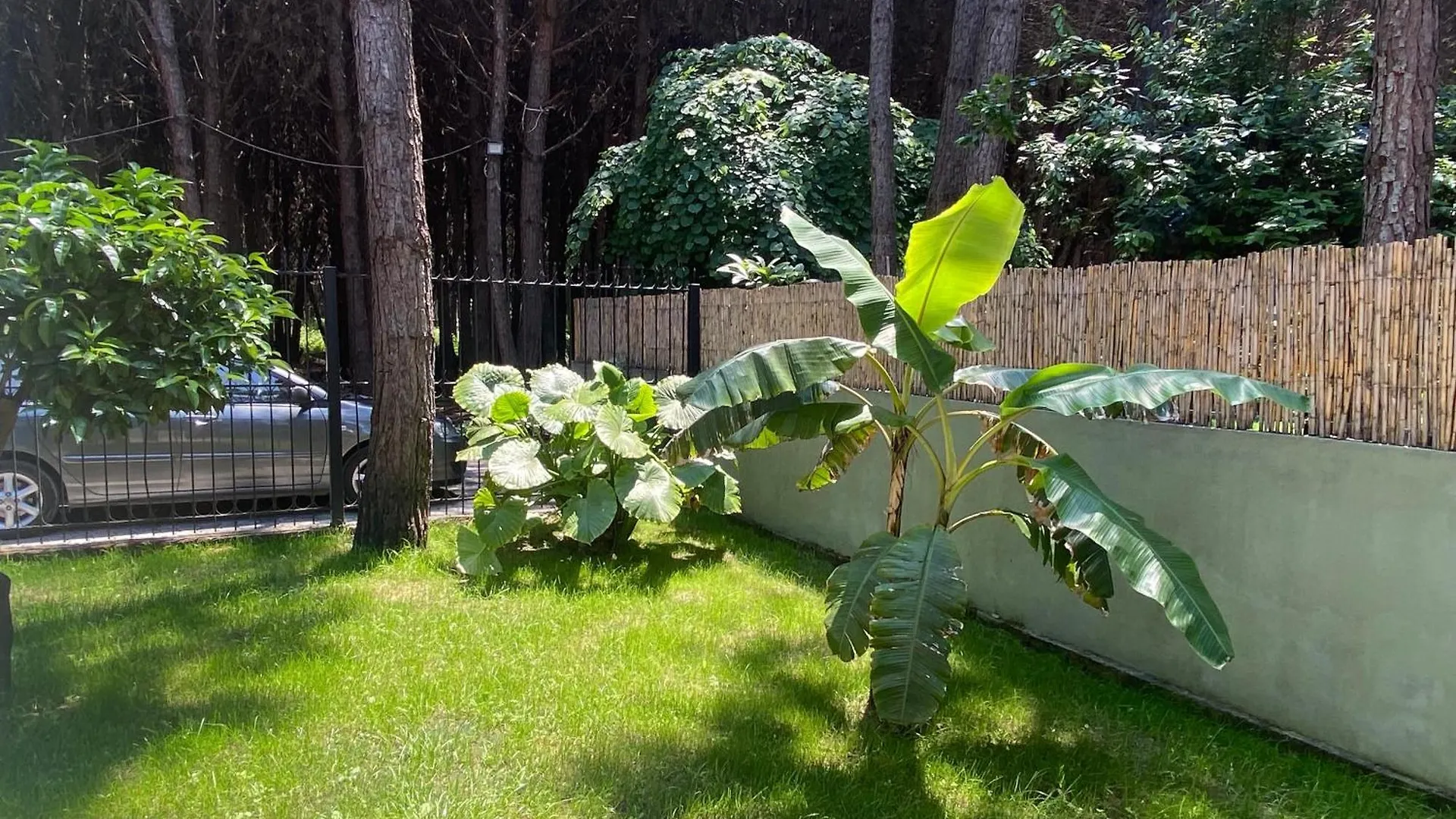 Forest Cottage - Middle Of Forest & Near The Beach Golem  0*, Golem (Tirana) Albania