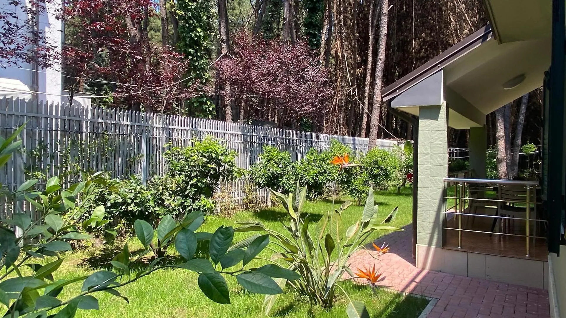 Forest Cottage - Middle Of Forest & Near The Beach Golem  Willa Golem (Tirana)
