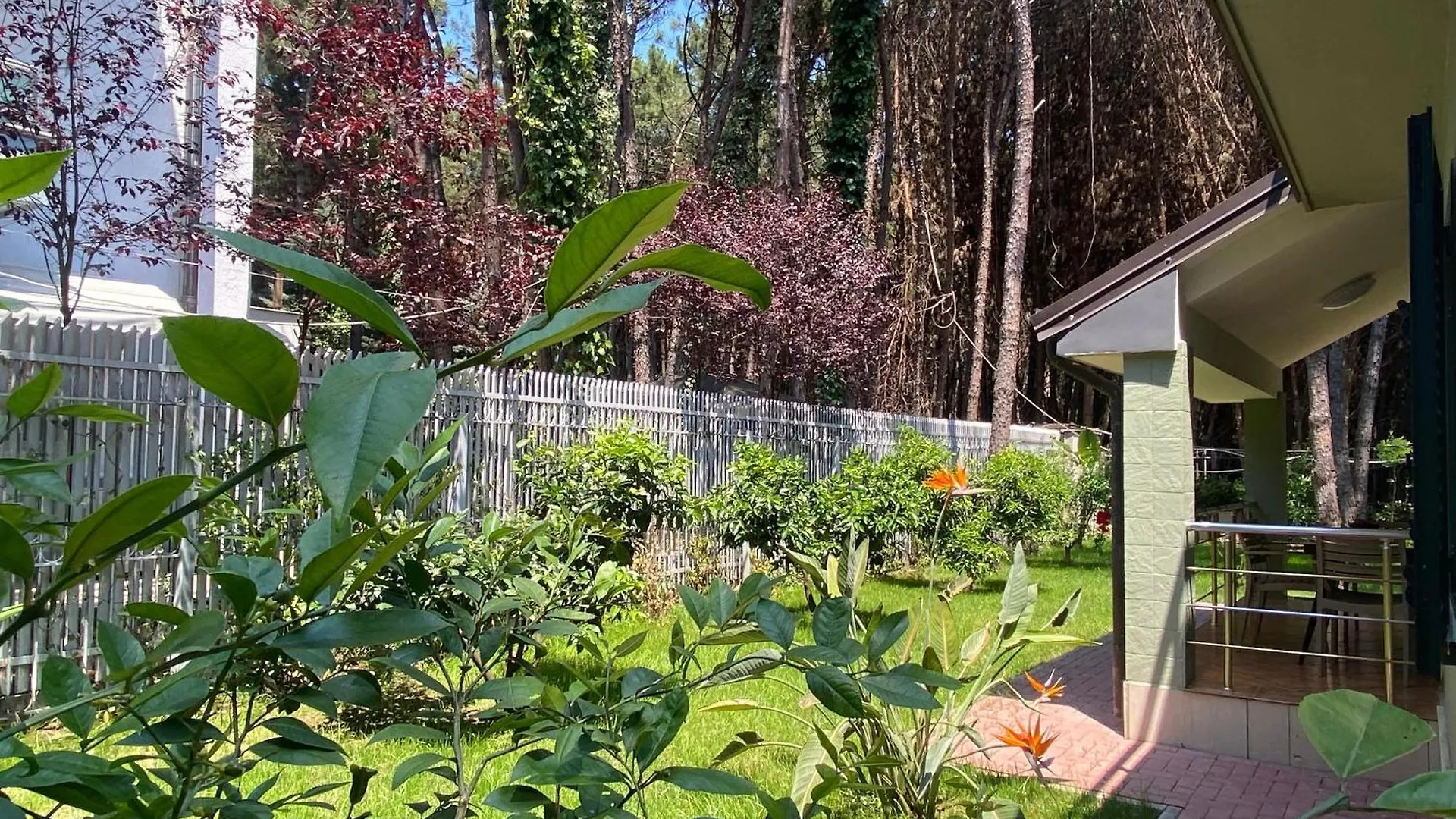 גולם Forest Cottage - Middle Of Forest & Near The Beach אלבניה