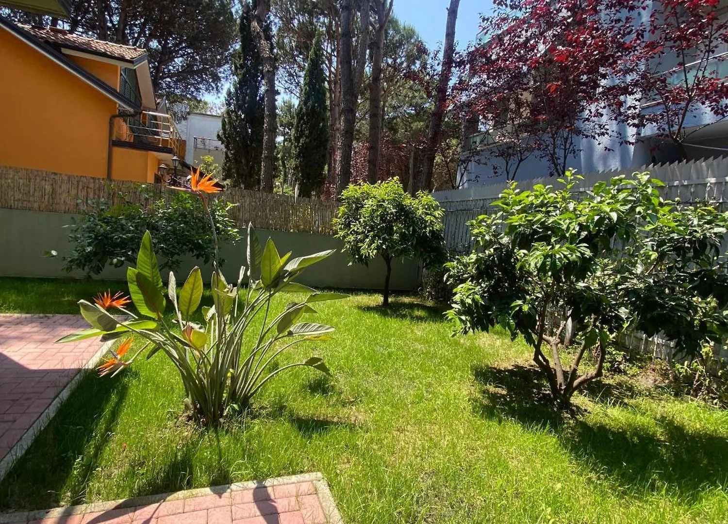 Forest Cottage - Middle Of Forest & Near The Beach Golem  0*, Golem (Tirana) Albanien