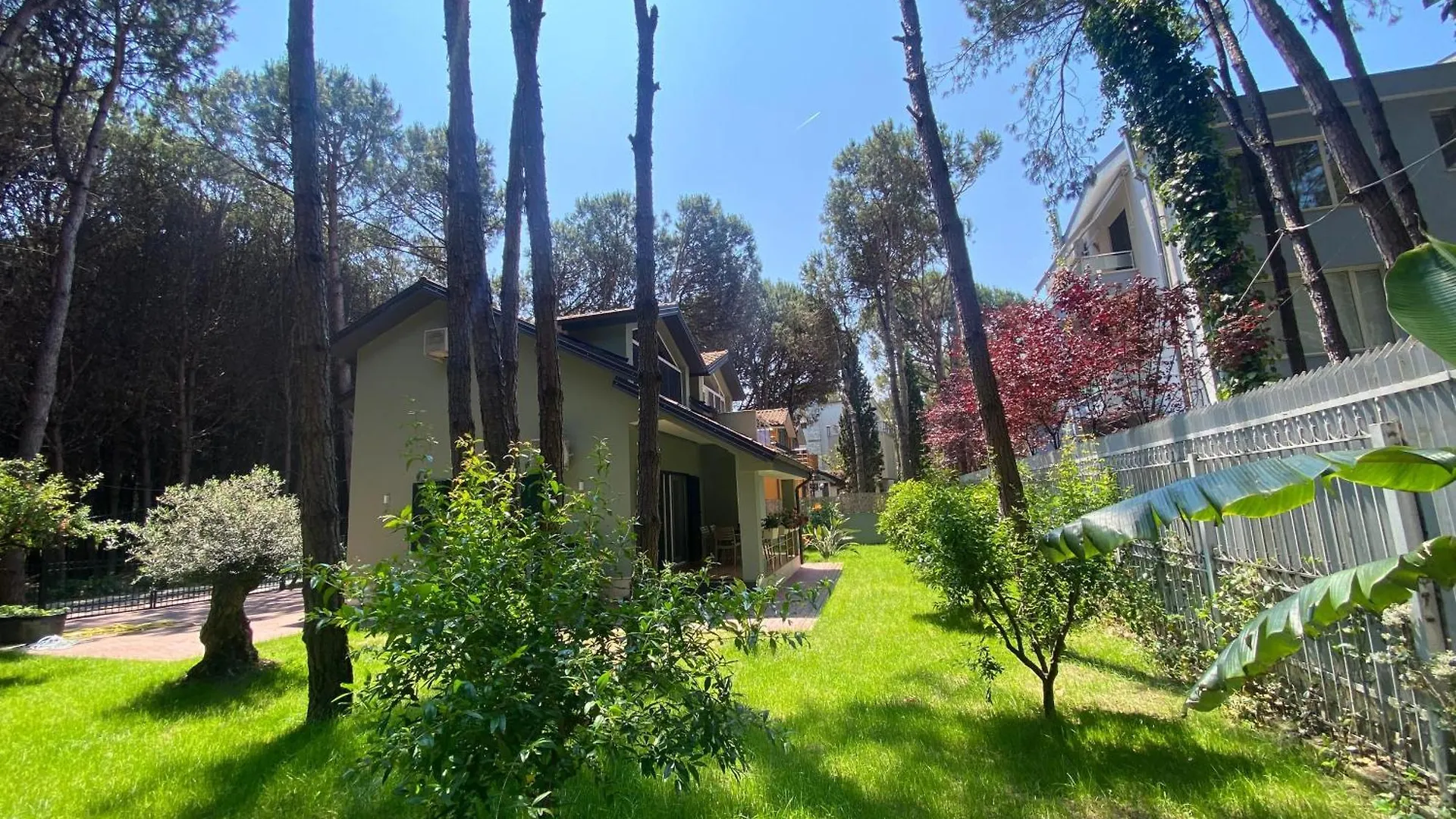 Willa Forest Cottage - Middle Of Forest & Near The Beach Golem