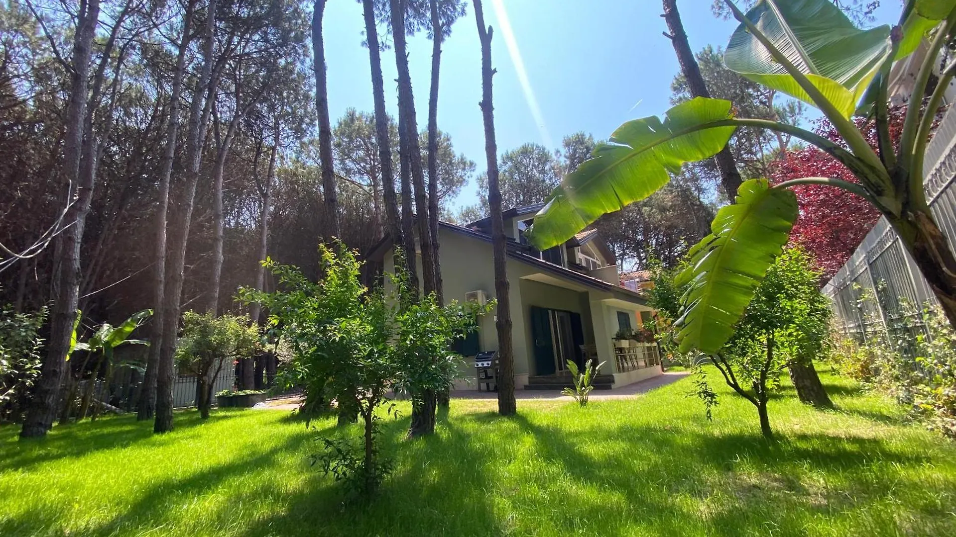 וילה גולם Forest Cottage - Middle Of Forest & Near The Beach