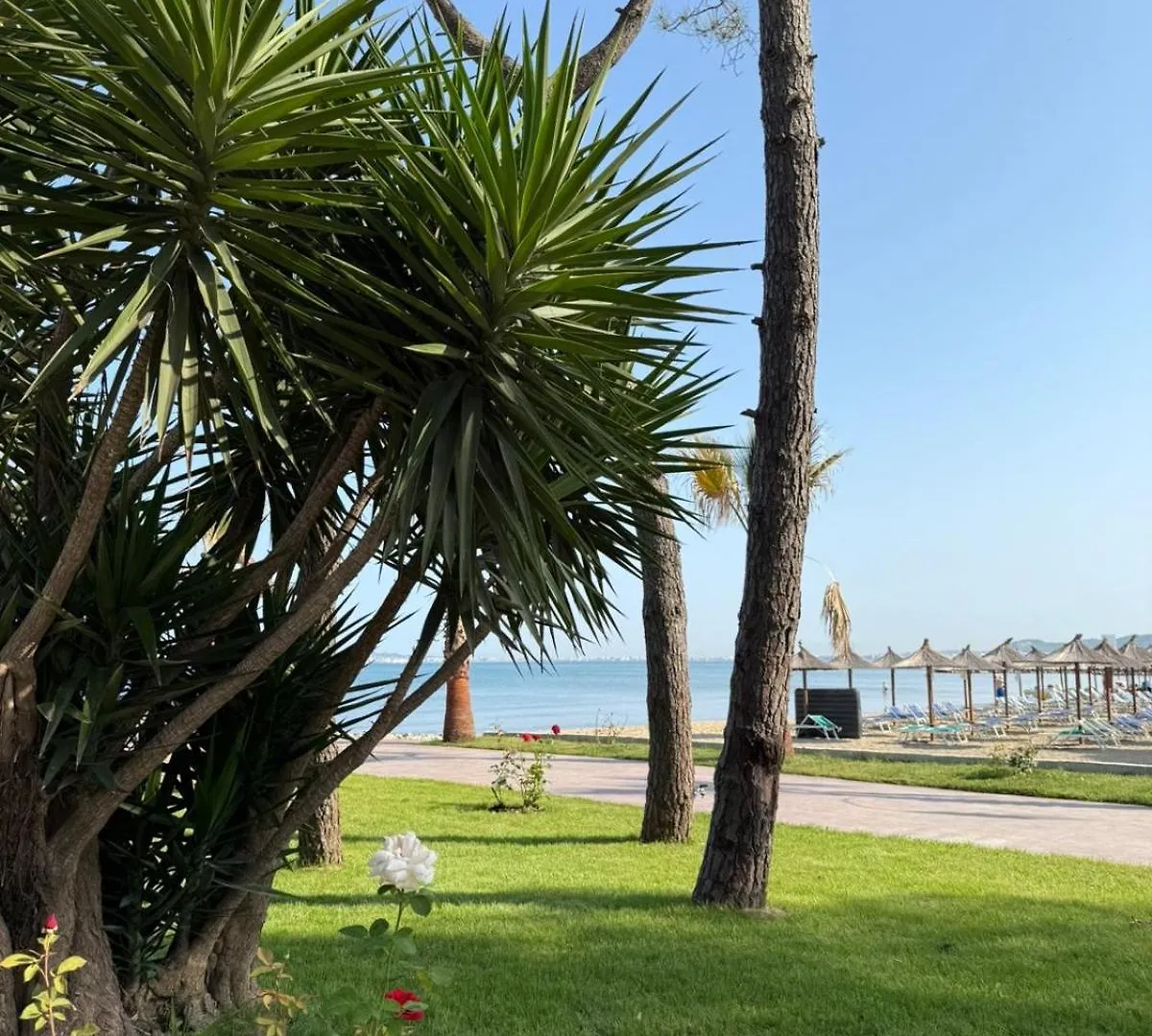 גולם Forest Cottage - Middle Of Forest & Near The Beach וילה