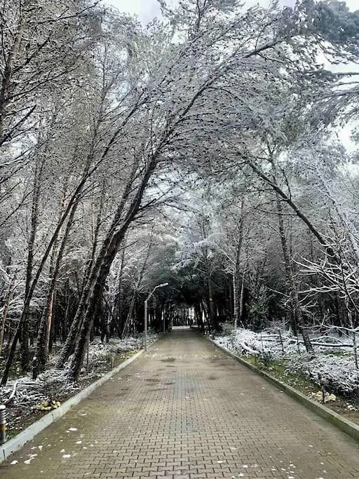 Forest Cottage - Middle Of Forest & Near The Beach Golem  Villa Golem (Tirana)