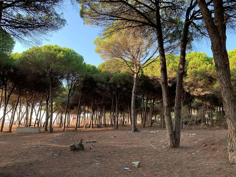 Villa Forest Cottage - Middle Of Forest & Near The Beach Golem