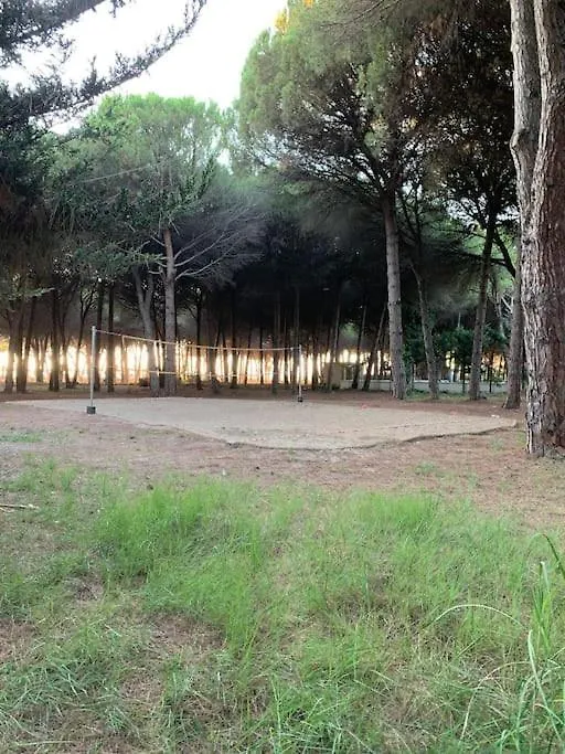 Forest Cottage - Middle Of Forest & Near The Beach Golem  Golem (Tirana)