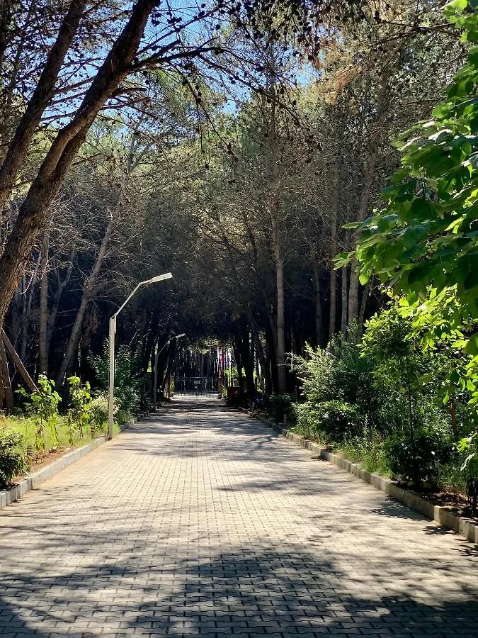 Villa Forest Cottage - Middle Of Forest & Near The Beach Golem