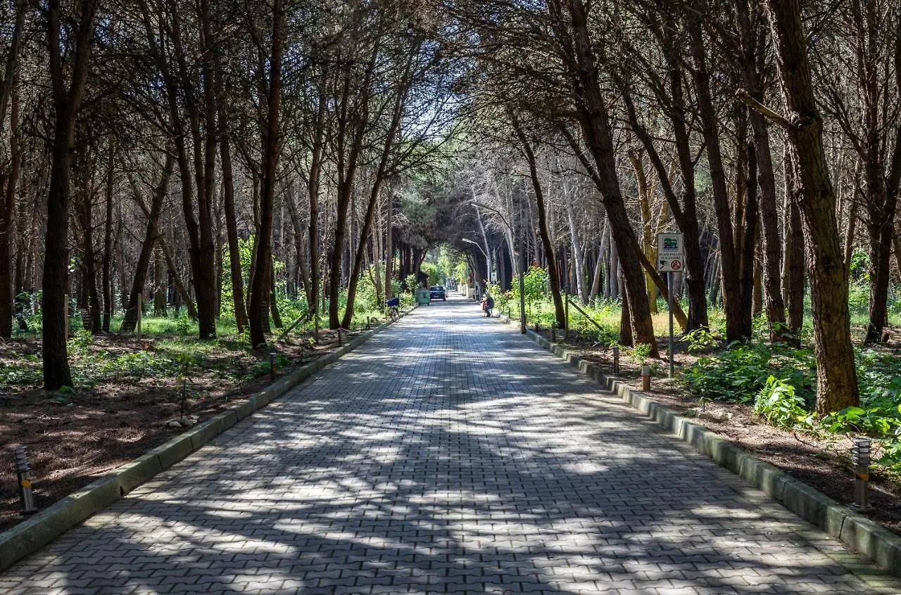 Forest Cottage - Middle Of Forest & Near The Beach Golem  Villa Golem (Tirana)