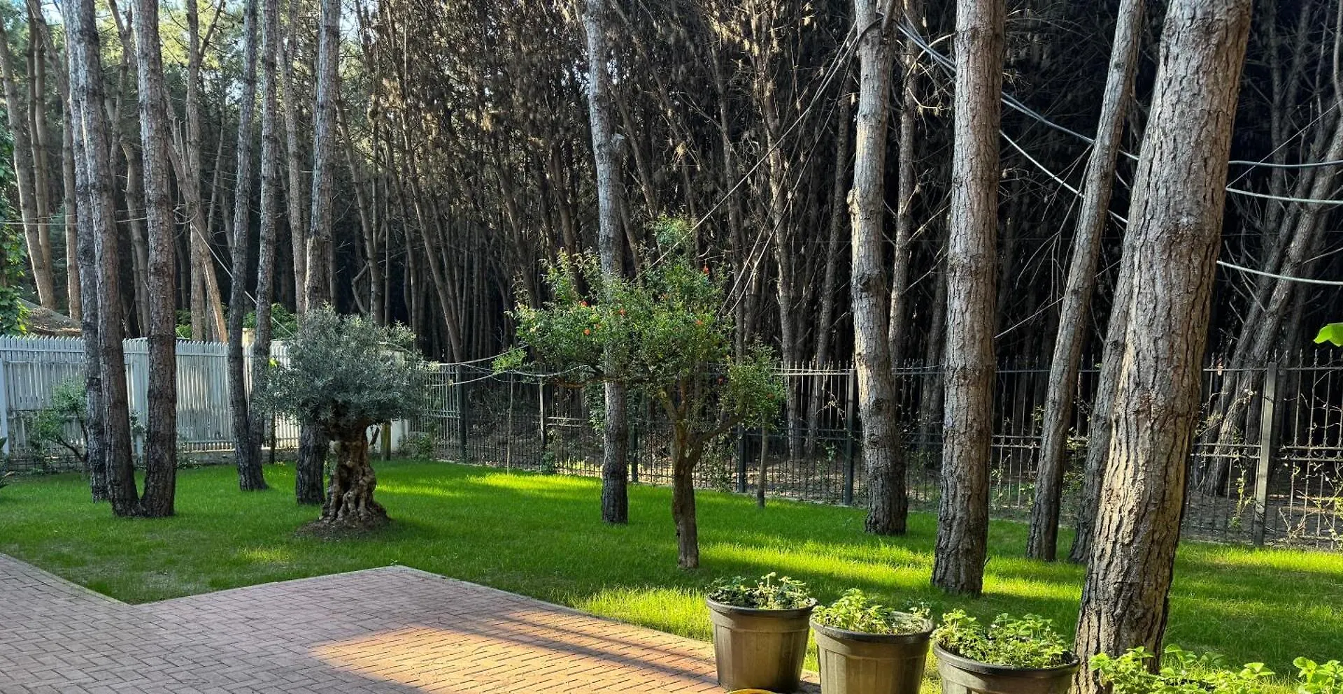 Forest Cottage - Middle Of Forest & Near The Beach Golem  Villa